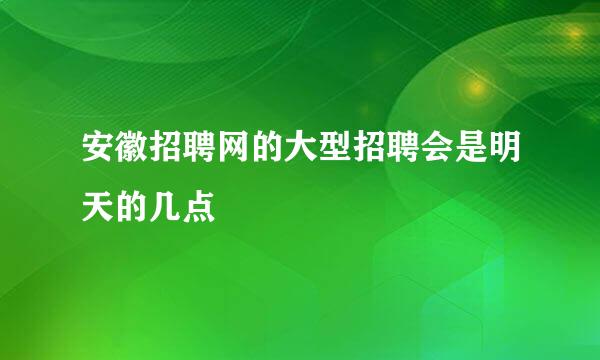 安徽招聘网的大型招聘会是明天的几点