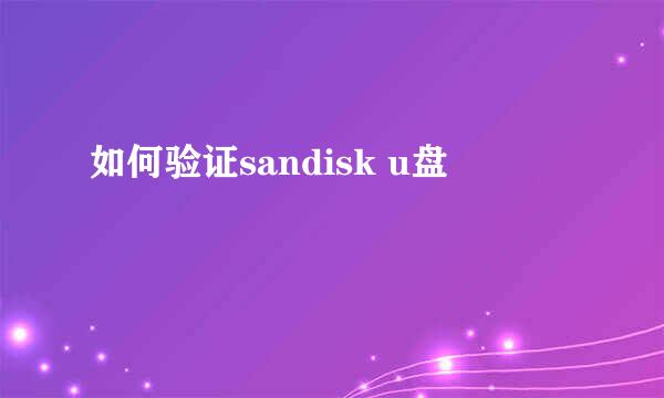 如何验证sandisk u盘