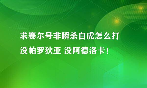 求赛尔号非瞬杀白虎怎么打 没帕罗狄亚 没阿德洛卡！