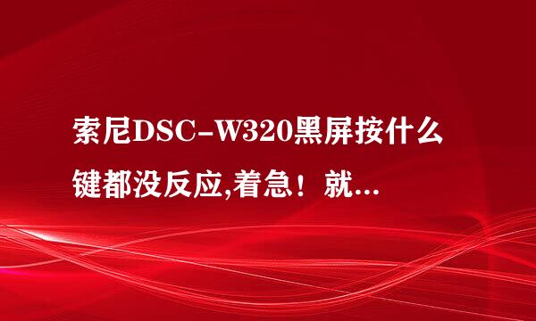 索尼DSC-W320黑屏按什么键都没反应,着急！就是一直黑着。