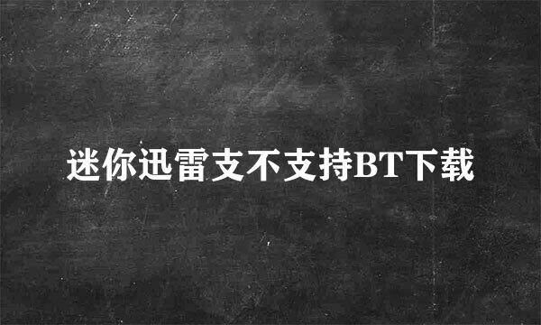 迷你迅雷支不支持BT下载