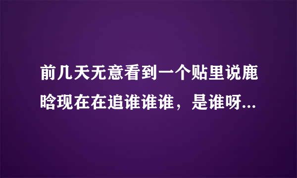 前几天无意看到一个贴里说鹿晗现在在追谁谁谁，是谁呀？还是谣言呀？