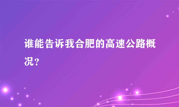 谁能告诉我合肥的高速公路概况？