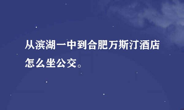 从滨湖一中到合肥万斯汀酒店怎么坐公交。