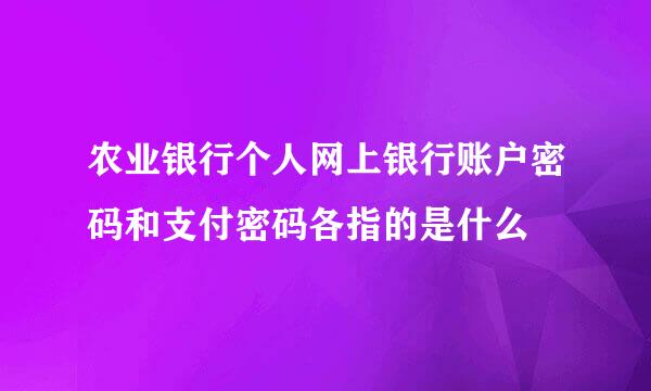 农业银行个人网上银行账户密码和支付密码各指的是什么