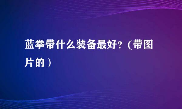 蓝拳带什么装备最好？(带图片的）