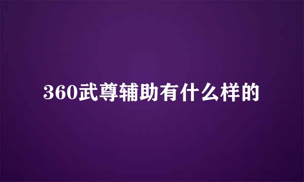 360武尊辅助有什么样的