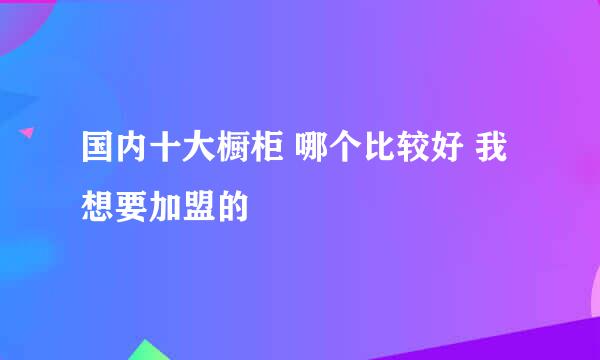 国内十大橱柜 哪个比较好 我想要加盟的