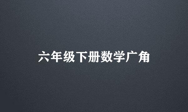 六年级下册数学广角