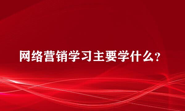 网络营销学习主要学什么？