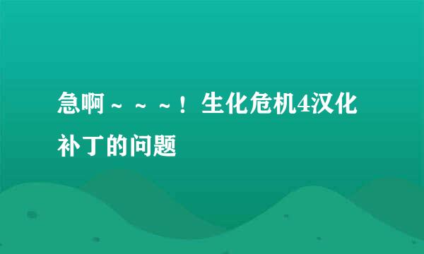 急啊～～～！生化危机4汉化补丁的问题