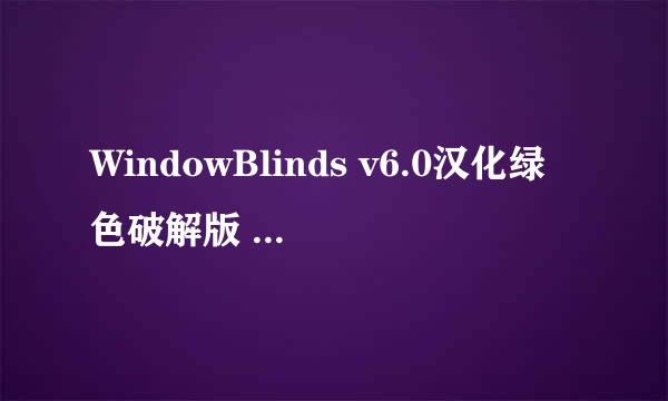 WindowBlinds v6.0汉化绿色破解版  网上的很多都是垃圾