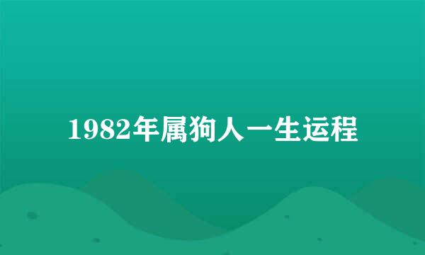 1982年属狗人一生运程