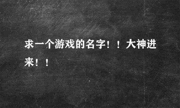 求一个游戏的名字！！大神进来！！