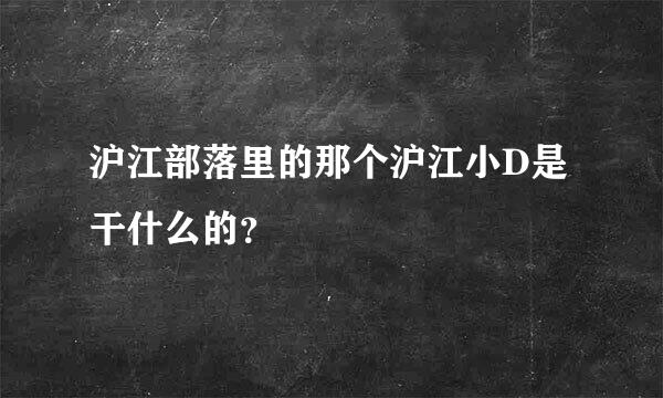 沪江部落里的那个沪江小D是干什么的？