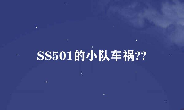 SS501的小队车祸??