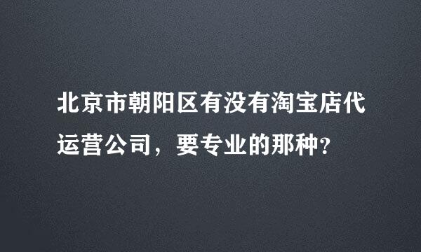 北京市朝阳区有没有淘宝店代运营公司，要专业的那种？