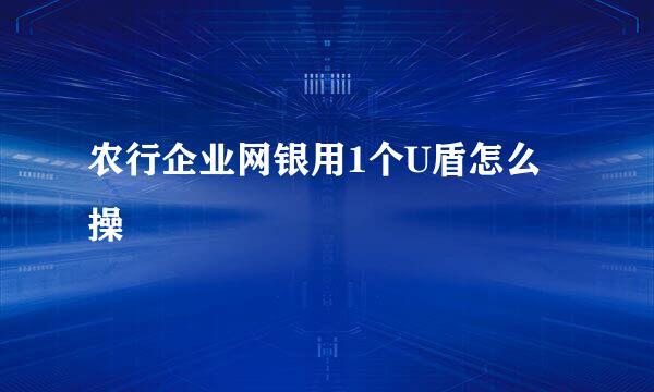 农行企业网银用1个U盾怎么操