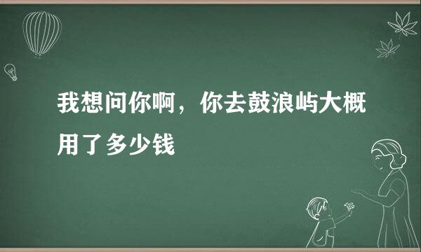 我想问你啊，你去鼓浪屿大概用了多少钱