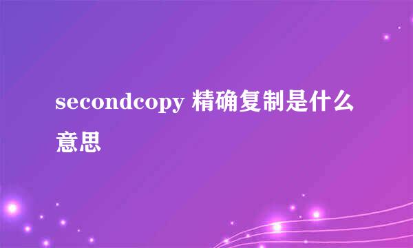 secondcopy 精确复制是什么意思