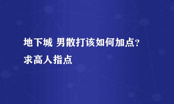 地下城 男散打该如何加点？求高人指点