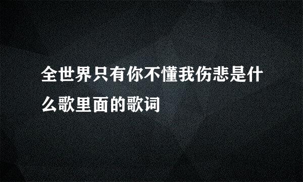 全世界只有你不懂我伤悲是什么歌里面的歌词