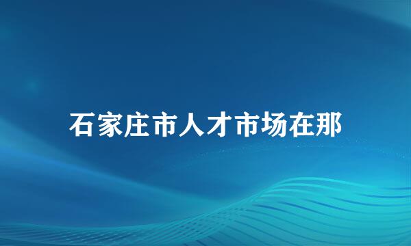 石家庄市人才市场在那