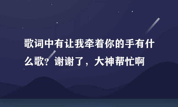 歌词中有让我牵着你的手有什么歌？谢谢了，大神帮忙啊