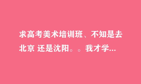 求高考美术培训班、不知是去北京 还是沈阳。。我才学2个月画。