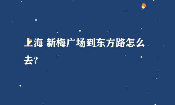 上海 新梅广场到东方路怎么去?