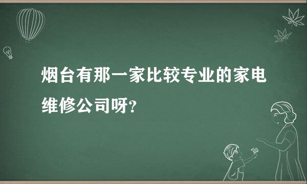 烟台有那一家比较专业的家电维修公司呀？