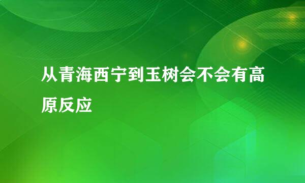 从青海西宁到玉树会不会有高原反应