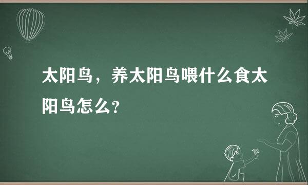 太阳鸟，养太阳鸟喂什么食太阳鸟怎么？