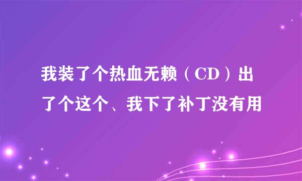 我装了个热血无赖（CD）出了个这个、我下了补丁没有用