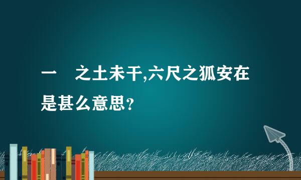 一抔之土未干,六尺之狐安在是甚么意思？