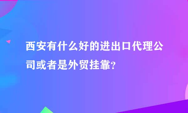 西安有什么好的进出口代理公司或者是外贸挂靠？