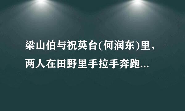 梁山伯与祝英台(何润东)里，两人在田野里手拉手奔跑的是哪一集