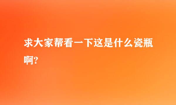 求大家帮看一下这是什么瓷瓶啊?