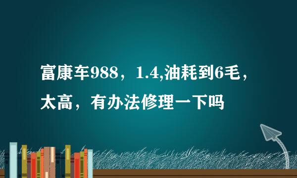 富康车988，1.4,油耗到6毛，太高，有办法修理一下吗