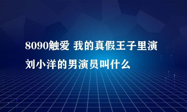 8090触爱 我的真假王子里演刘小洋的男演员叫什么