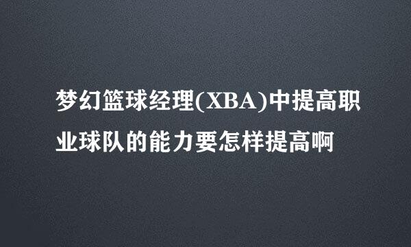 梦幻篮球经理(XBA)中提高职业球队的能力要怎样提高啊