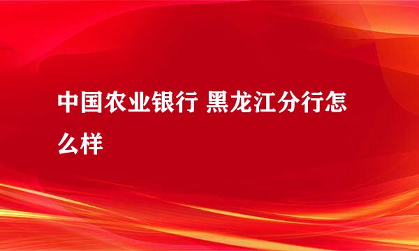 中国农业银行 黑龙江分行怎么样