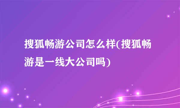 搜狐畅游公司怎么样(搜狐畅游是一线大公司吗)