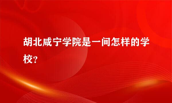 胡北咸宁学院是一间怎样的学校？