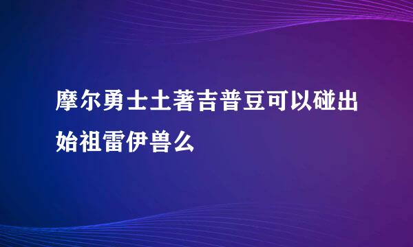 摩尔勇士土著吉普豆可以碰出始祖雷伊兽么