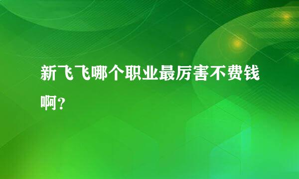 新飞飞哪个职业最厉害不费钱啊？