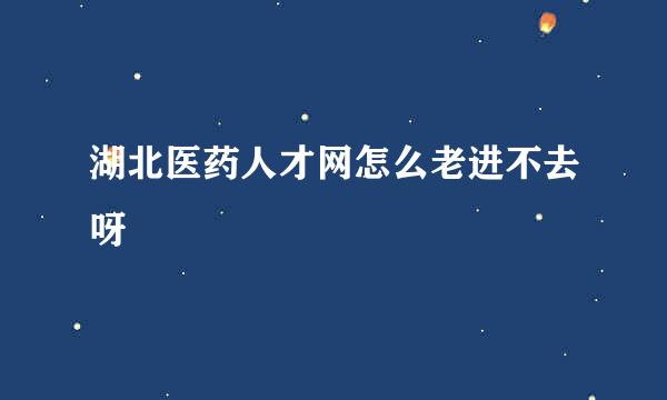 湖北医药人才网怎么老进不去呀