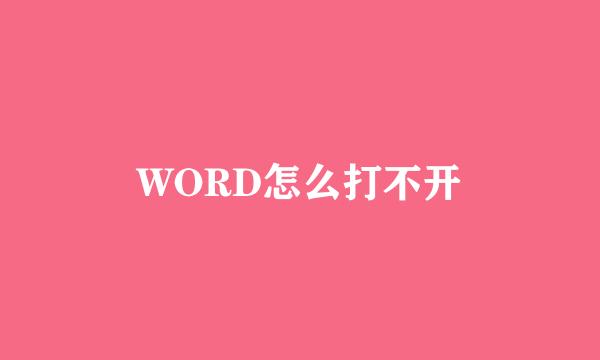 WORD怎么打不开