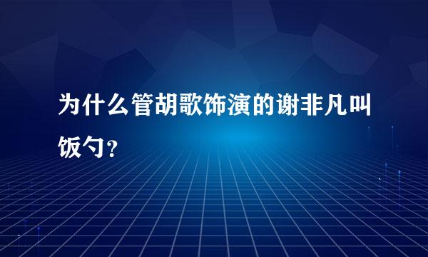 为什么管胡歌饰演的谢非凡叫饭勺？