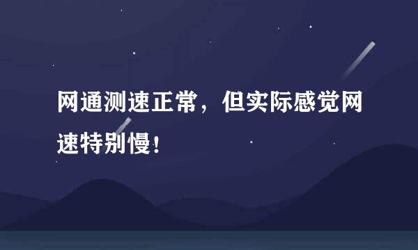 网通测速正常，但实际感觉网速特别慢！